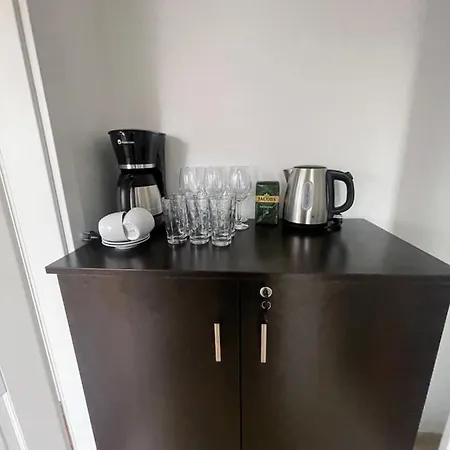 Apartment Ultra-central Just In Union Squere Timisoara